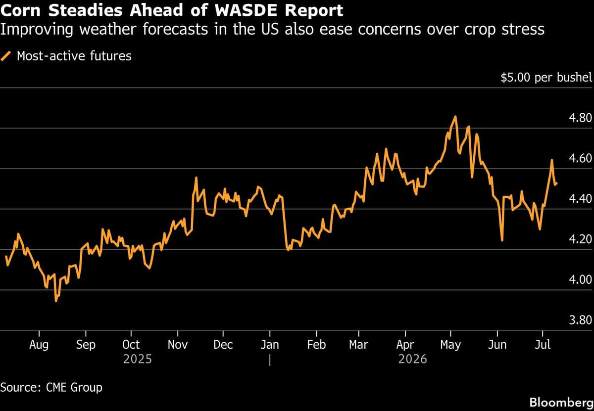 Corn Prices Seek Balance Ahead of Key US Supply Report
