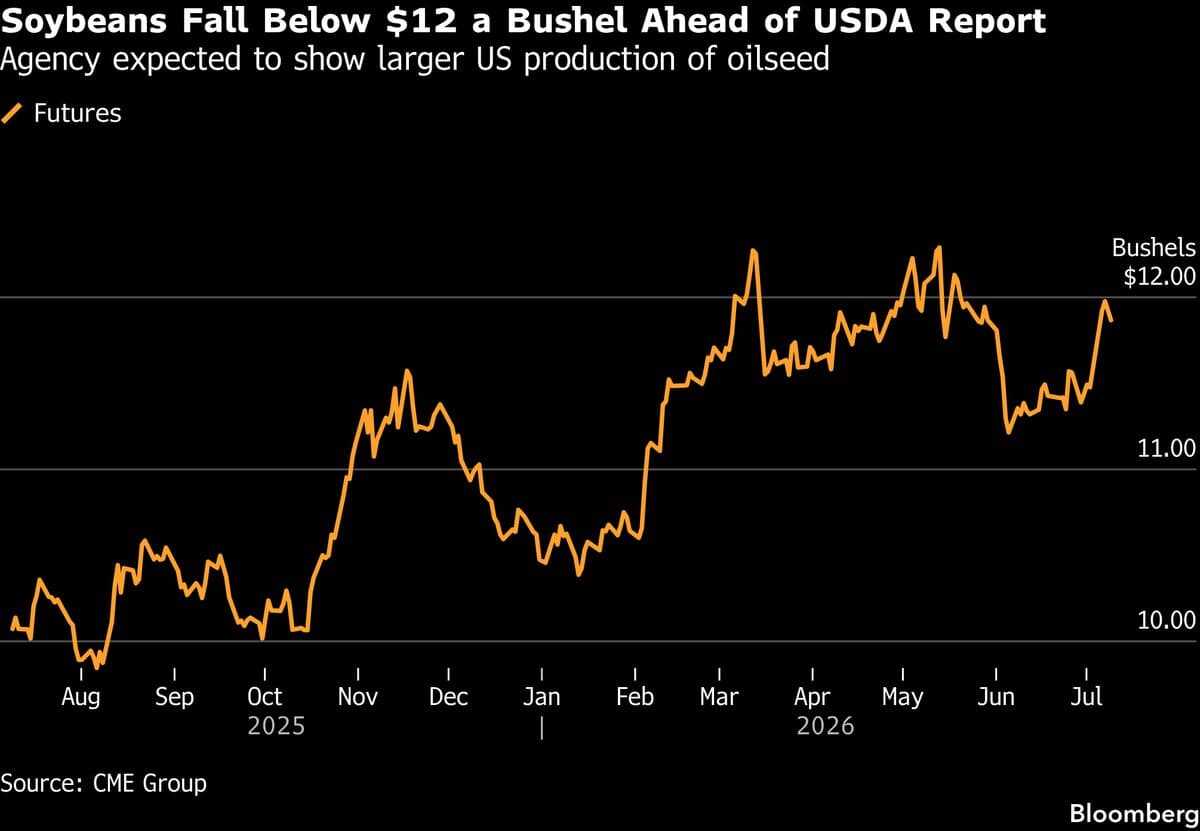 Corn, Soy Prices Ease Ahead of WASDE Report