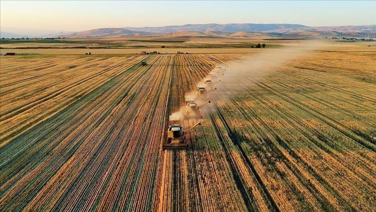 Turkey Injects 67.8 Million Lira into Farmers with New Agricultural Support Payment