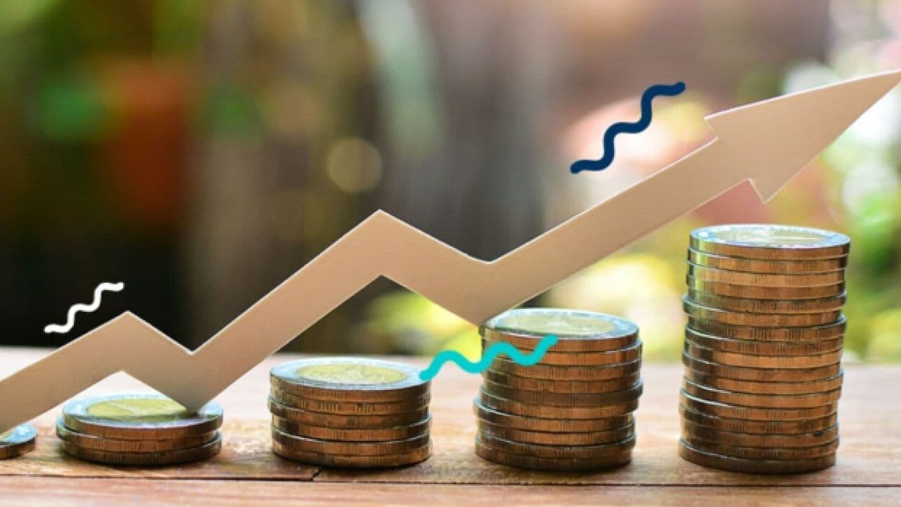 Investment Fund Performance Surge: PHE Dominates the Rankings