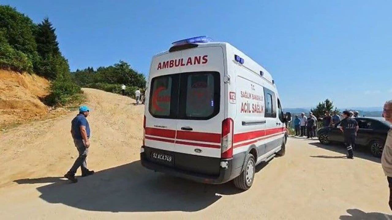 Giresun Helicopter Incident: Potential Impact on Energy Sector Operations