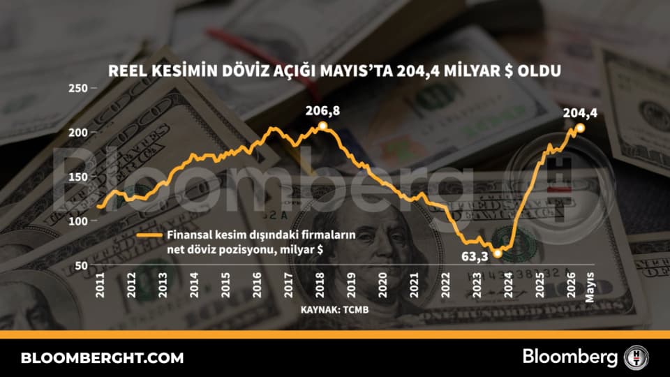 May’s Real Sector Forex Deficit Hits $204.4 Billion – Market Implications