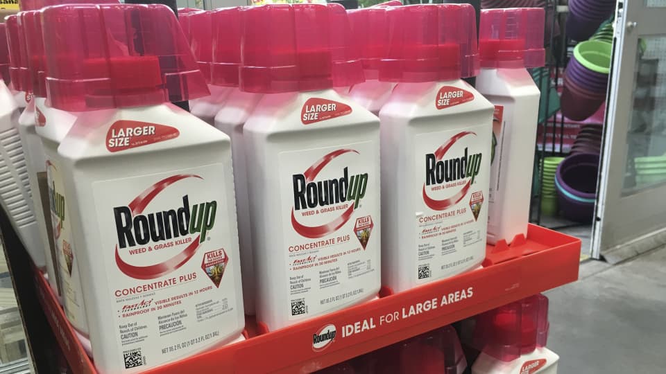 Bayer'in 10 Milyar Dolarlık Hukuki Kanaması: Monsanto Mirası Bileğini Büküyor