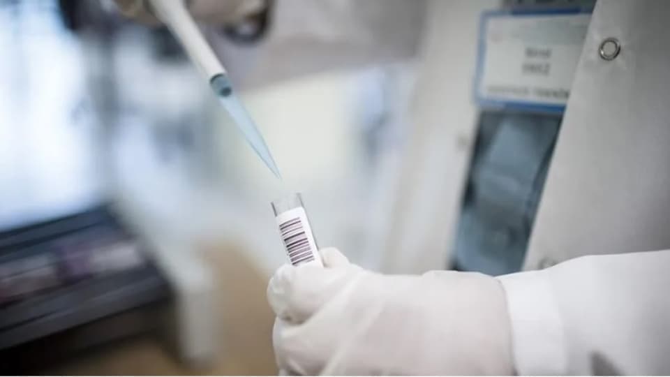 Turkey's 2025 R&D Expenditure Hits 253.5 Billion Lira: A Rising Investment Tide