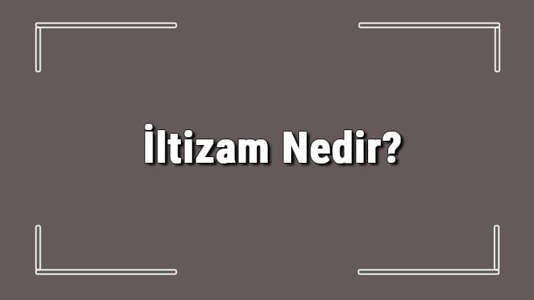 The Economic Effects of the İltizam System