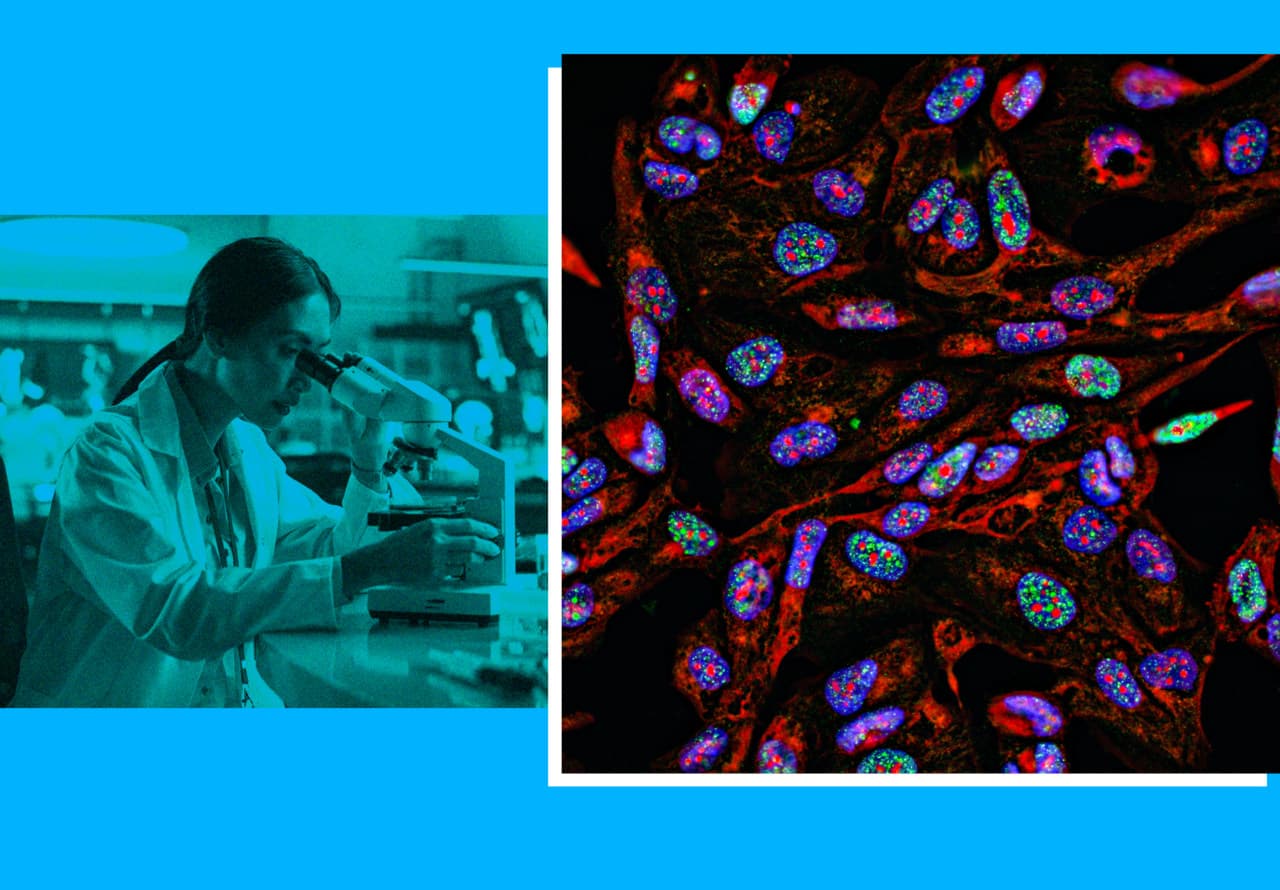 Moderna’s Personalized mRNA Gamble: Oncology Revolution or Market Bubble?