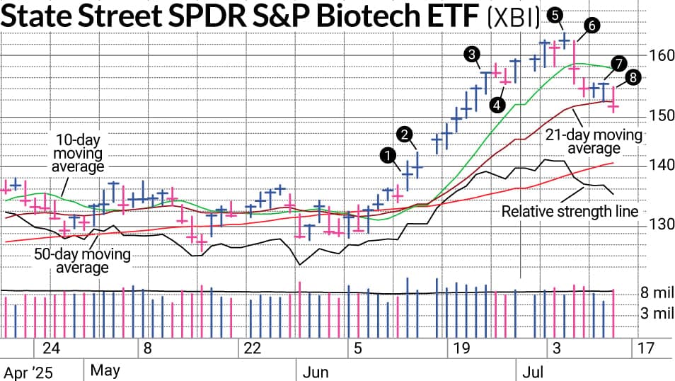 Biotech Hisselerinde Dönüşüm: XBI'nin Yükselişi ve Wells Fargo'nun Argenx Tavsiyesi