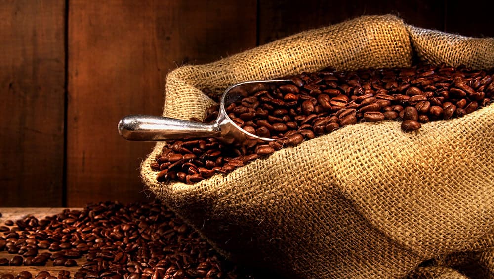 Green Mountain Coffee Roasters: Can It Become America's Investor Darling?