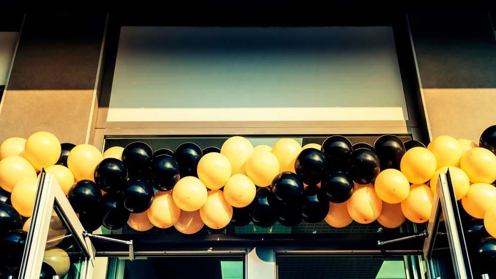 Entrepreneurial Surge Defies Tightening: 66,000 New Companies Established in 7 Months