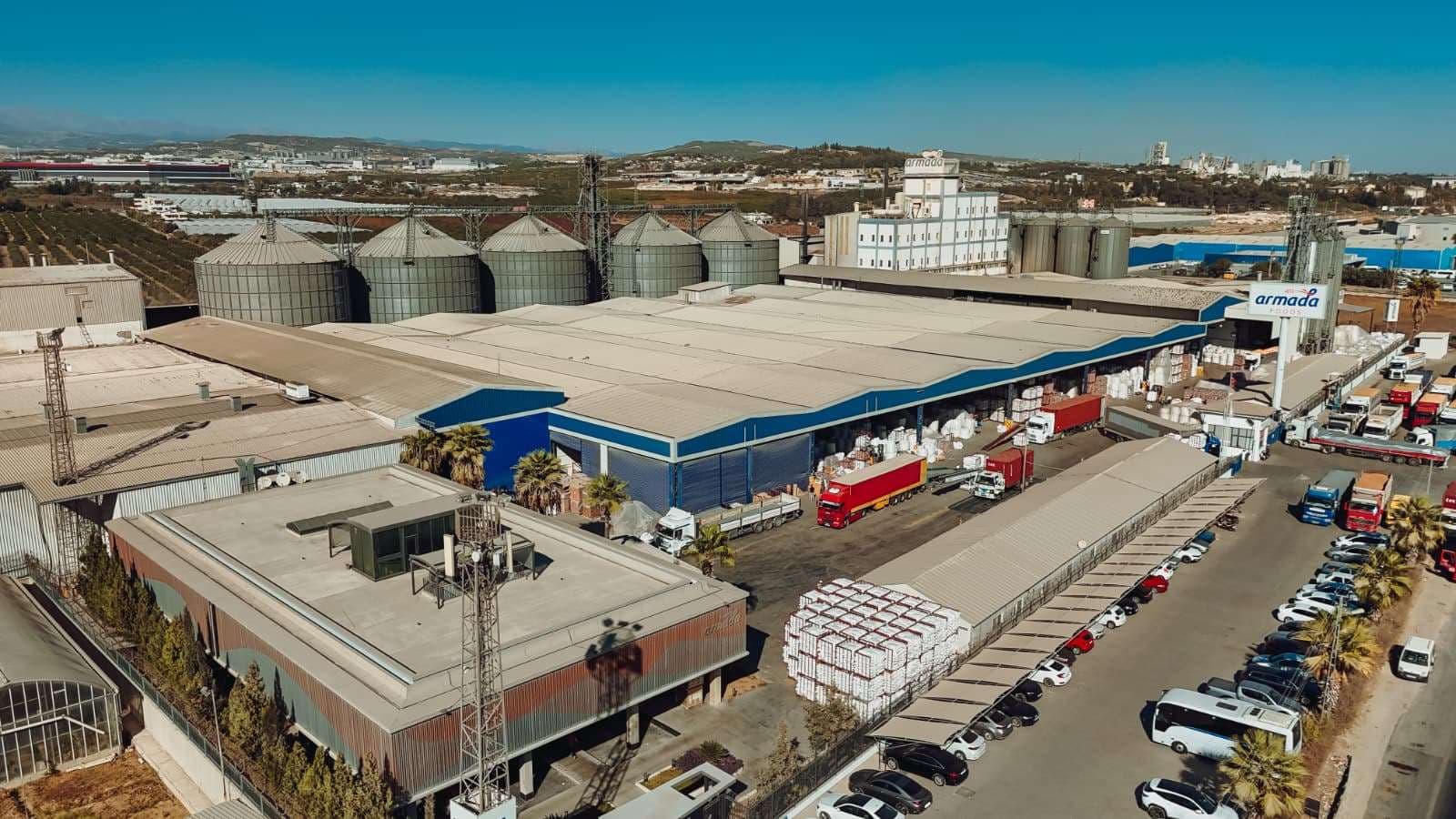 Armada Food’s Net Profit Surges 395%, Igniting Investor Enthusiasm