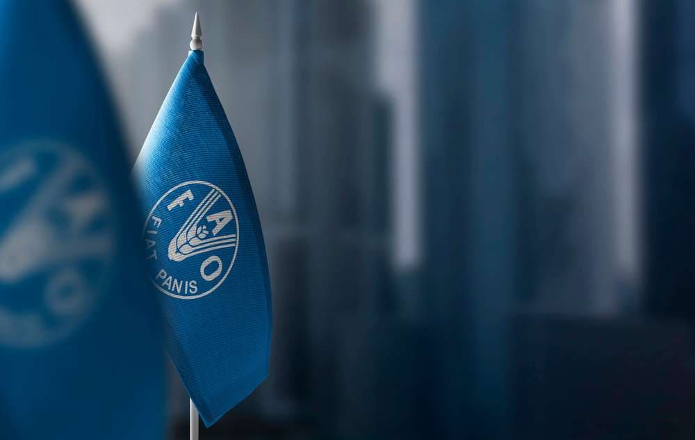 FAO Food Price Index Hits 3-Year High in July, Signaling Rising Global Inflation