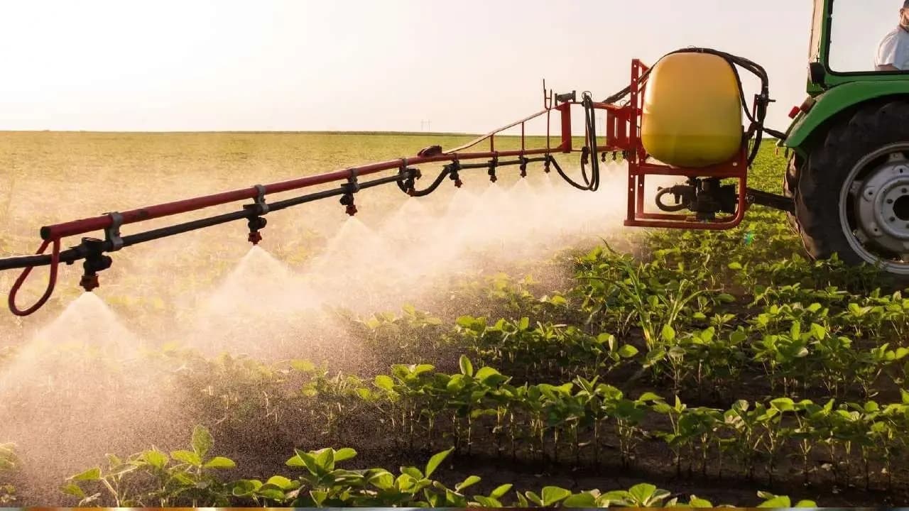 Ferbis Agricultural IPO Delayed Amid Competition Authority Probe