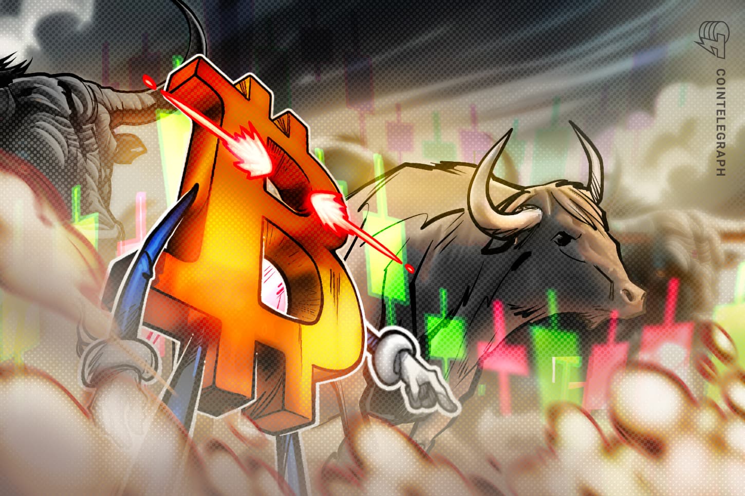 Bitcoin Enters the Initial Phase of a New Bull Market