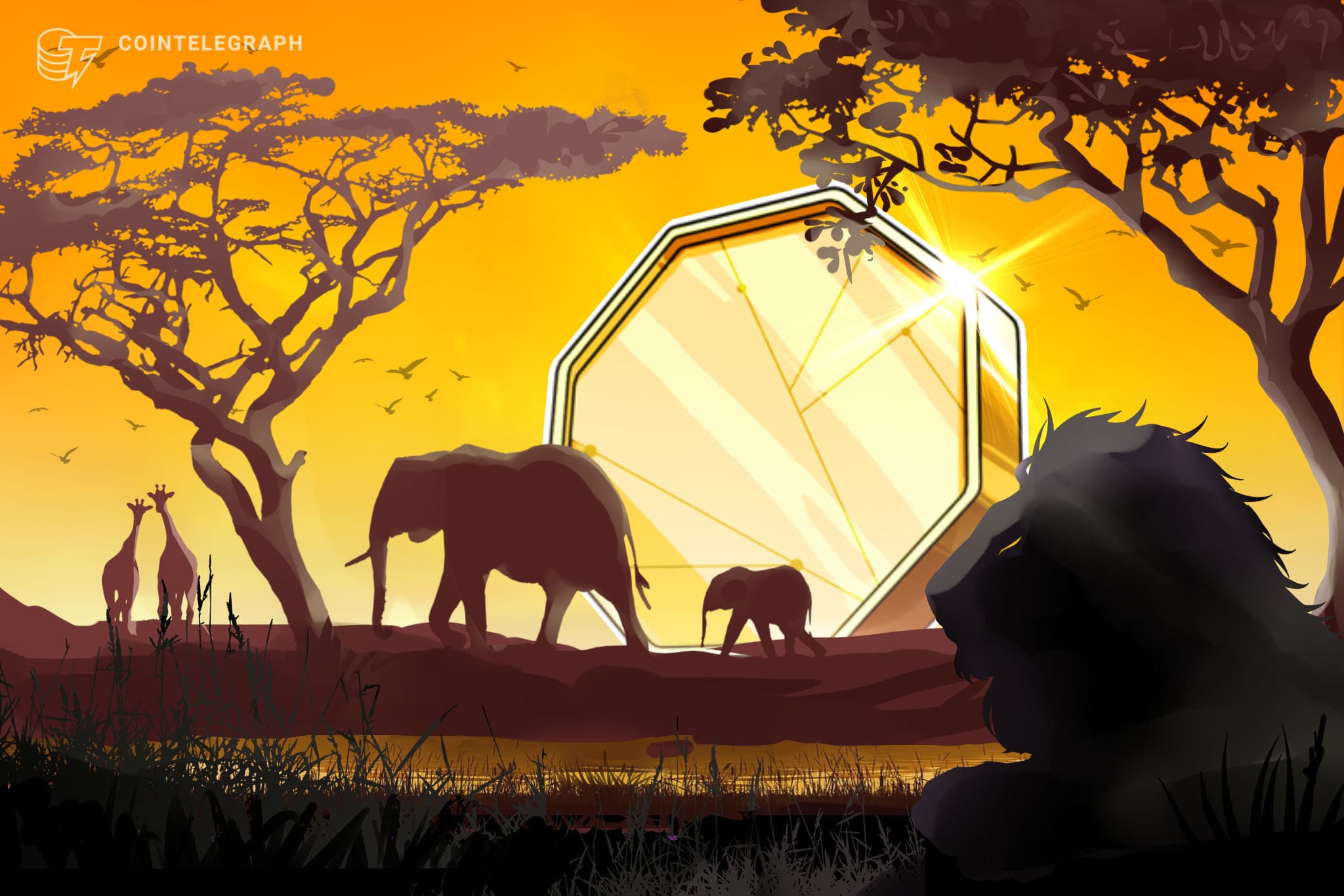 Zimbabwe Launches Tokenization‑Heavy Sandbox: 7 FinTech Projects Enter Controlled Testing