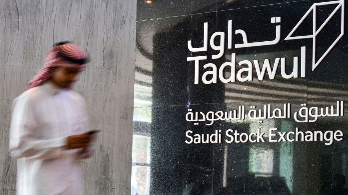 Saudi's NourNet Taps Goldman Sachs and HSBC for IPO