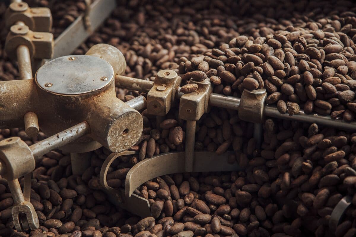 Is Cocoa Demand Really Recovering? Fresh Price Volatility Adds New Challenges