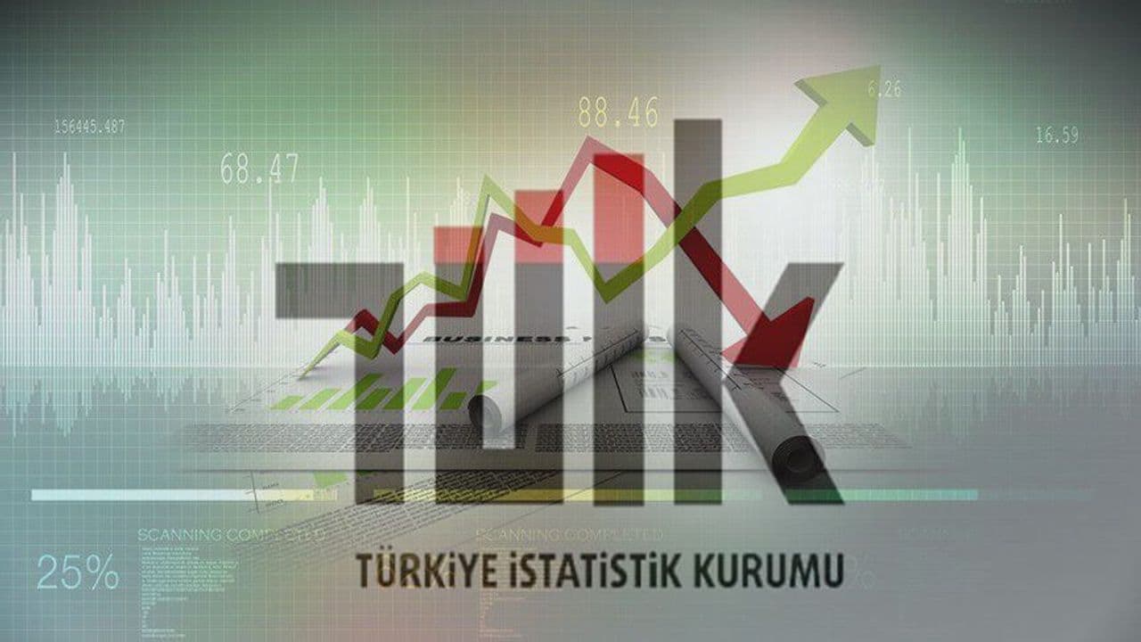 July 2024 Inflation Report: Shock Jumps in Health and Food Prices