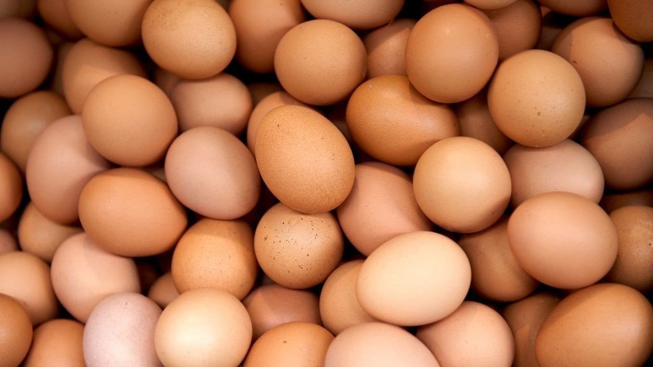 Egg Prices Slip 80 Cents: Market Finds New Balance Amid Rising Production Costs