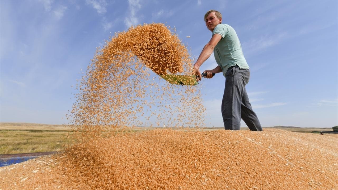TMO's 5 Million Ton Grain Purchase: The Quiet Revolution in the Market