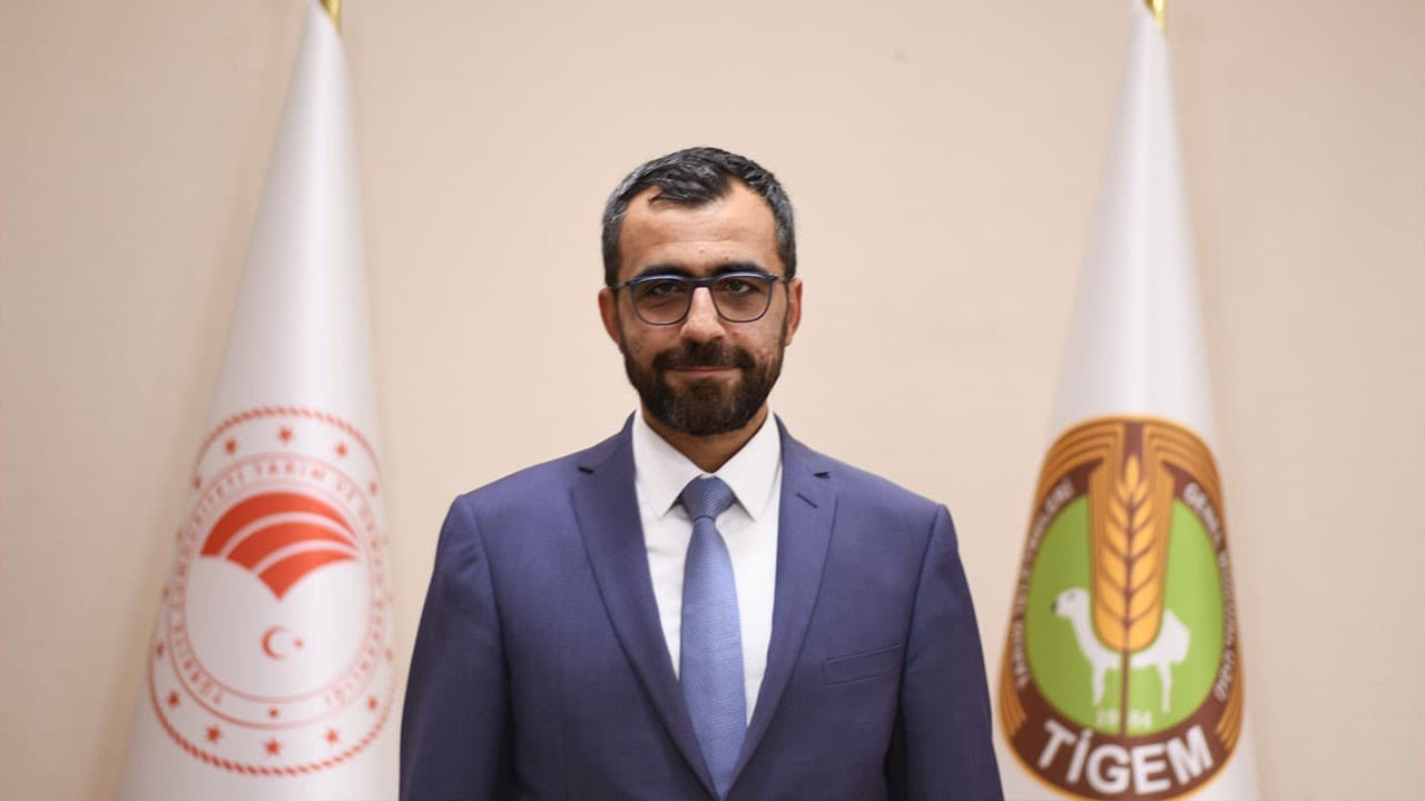 TİGEM's Annual 130-140 Thousand Ton Certified Seed Sales: Impact on Agricultural Productivity and Food Security