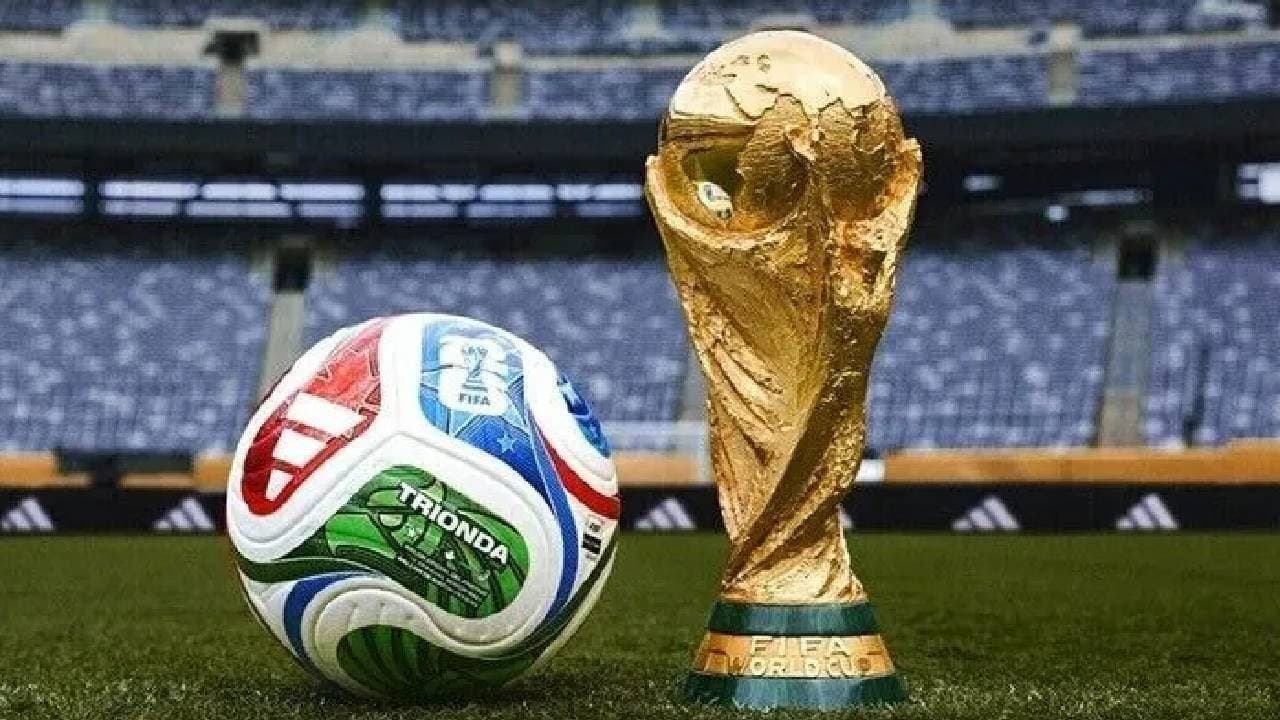 FIFA's Turf Collection: A New Relic of World Cup History