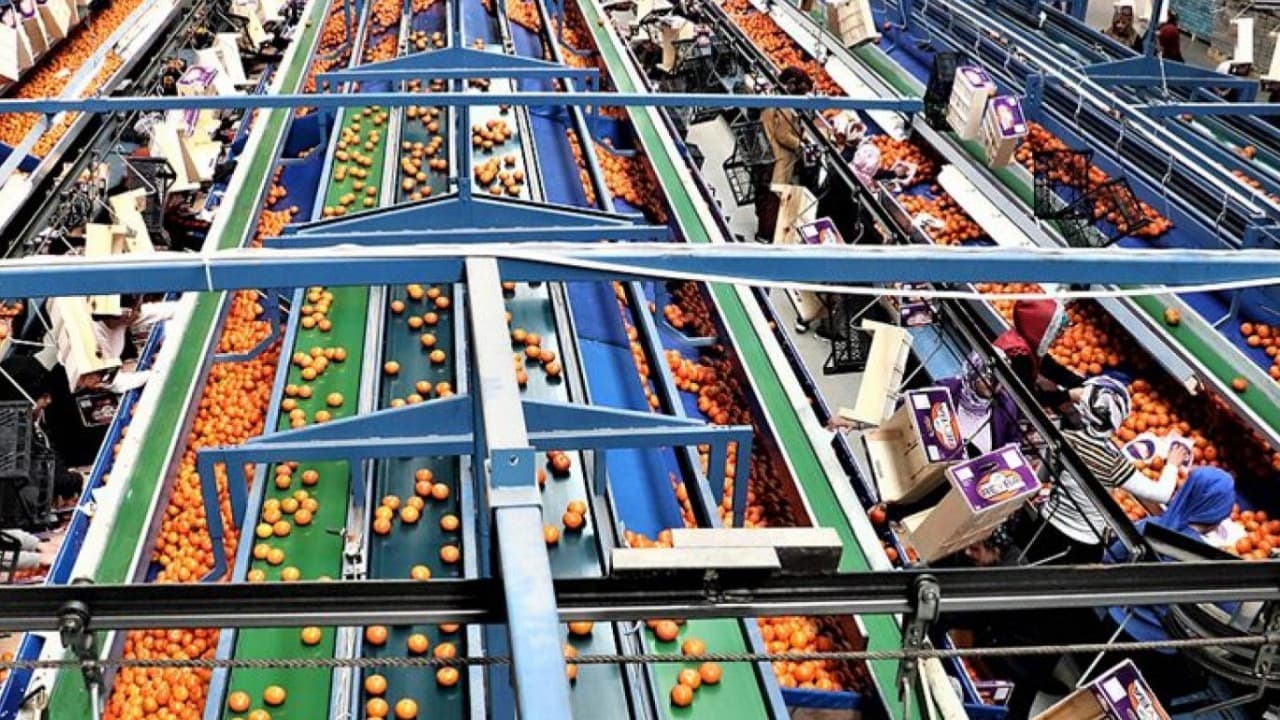 Gıda İhracatında 31,4 Milyar Dolarlık Paradoks: Sofralara Yansımayan Başarı