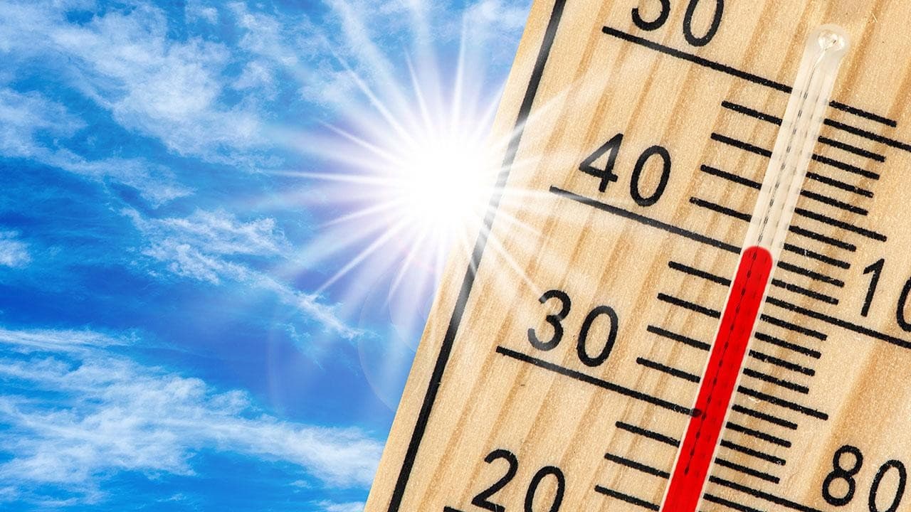 Heatwave Alert: Turkey's Energy and Agriculture Sectors Brace for Year's Hottest Day Risk