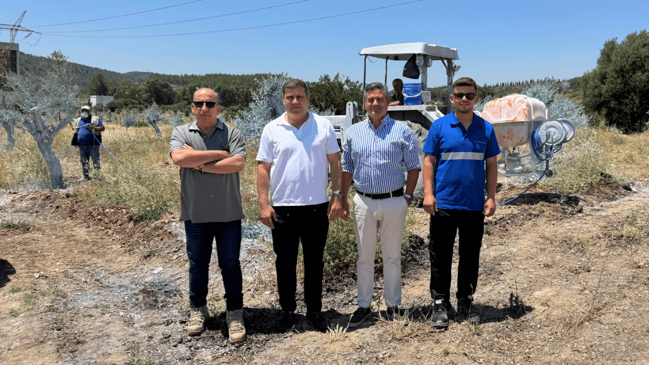 Transplanted Olive Trees in Muğla: A 5 Billion TL Economic Transformation for Regional Development