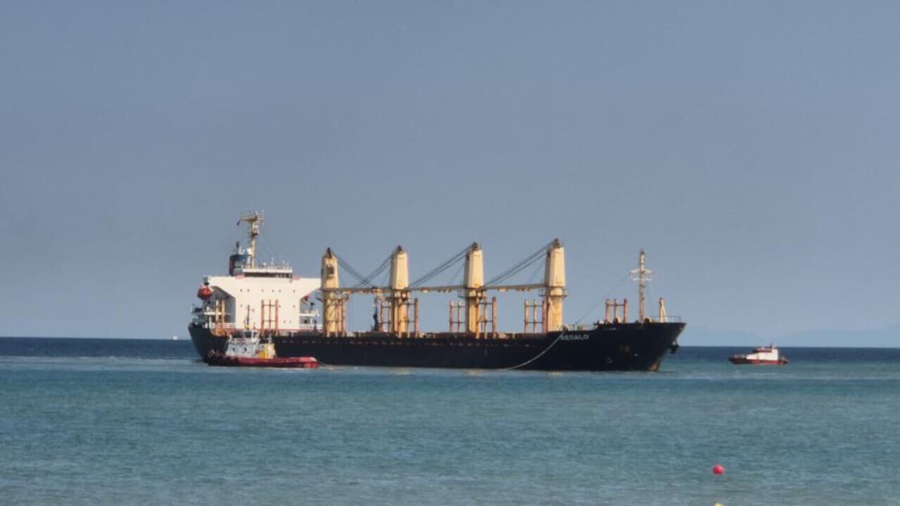 Grounded Vessel: 28,000-Ton Logistics Pulse in Tekirdağ