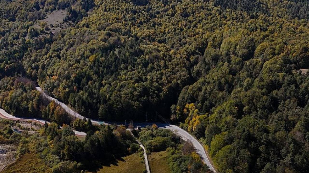 Bolu Forest Fire Risk: Hidden Costs for Banks and Fintech