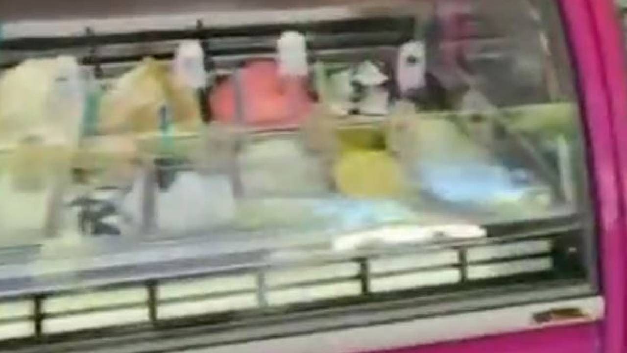 Bodrum Dondurma Skandoru: 400 TL'ye Top Satışından Bakanlık Darbecilik Çağrısında