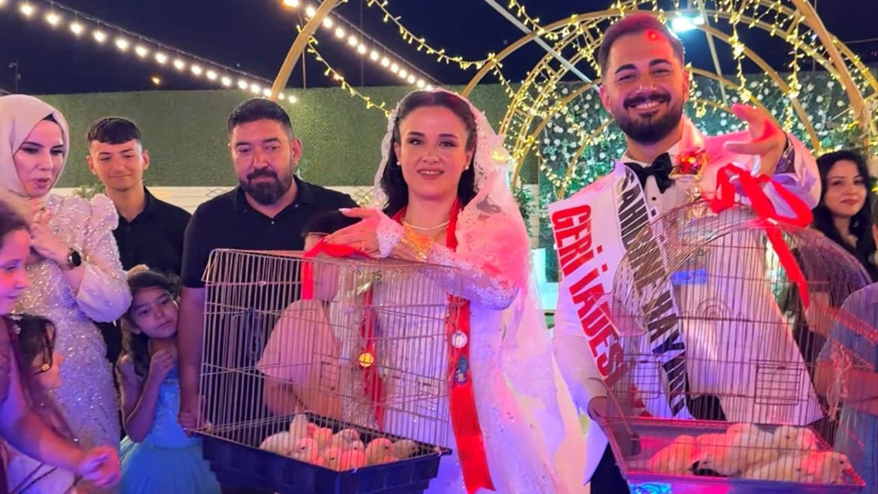 Wedding Gift: Investing in the Future with 100 Chickens