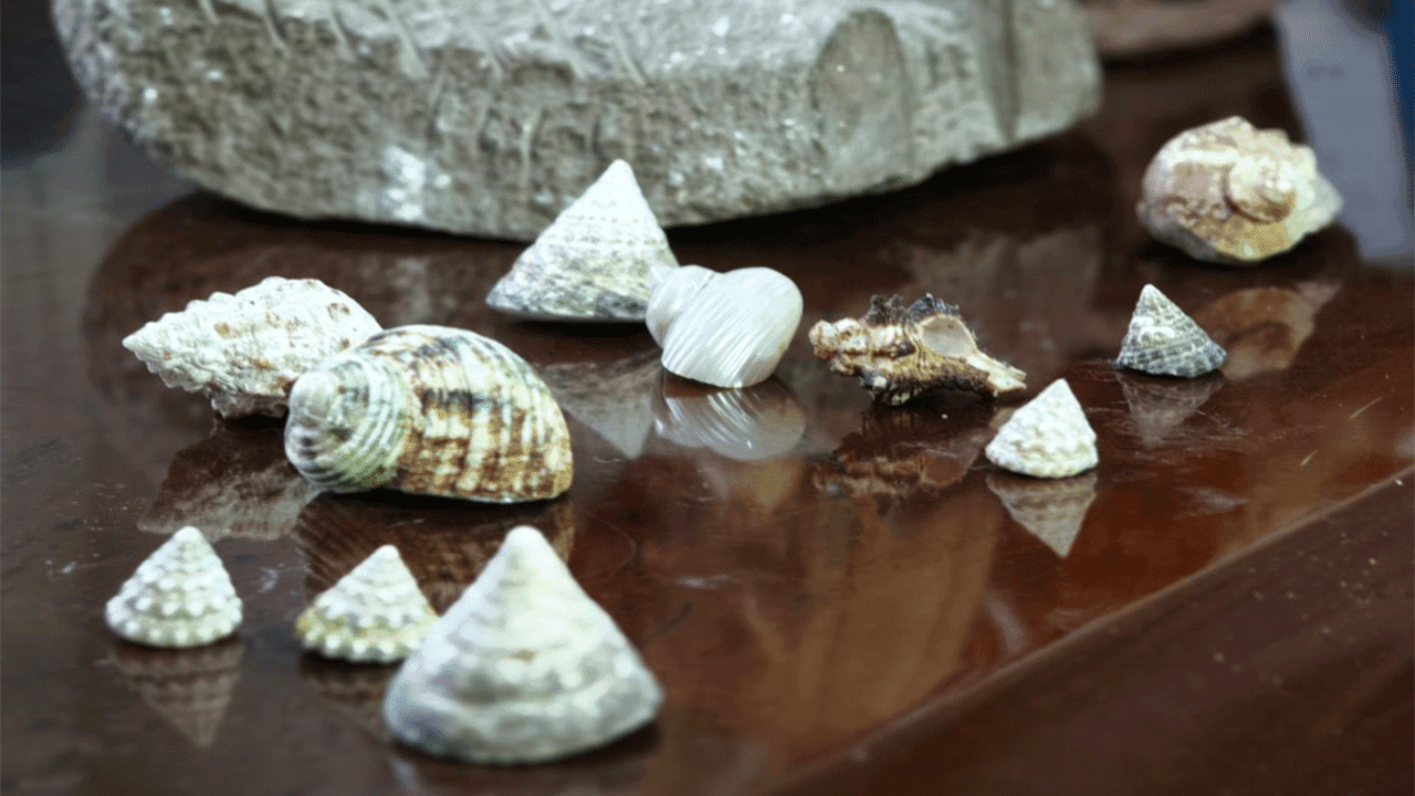 Historical Findings in Ankara's Urban Transformation