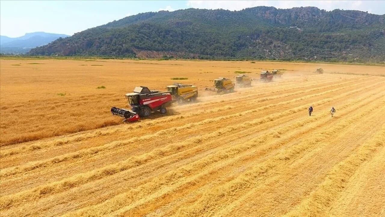 AB'nin Türk Tarım İhracatına Sıkı Denetimleri: Pazar Payları ve Maliyetler Nasıl Etkilenecek?