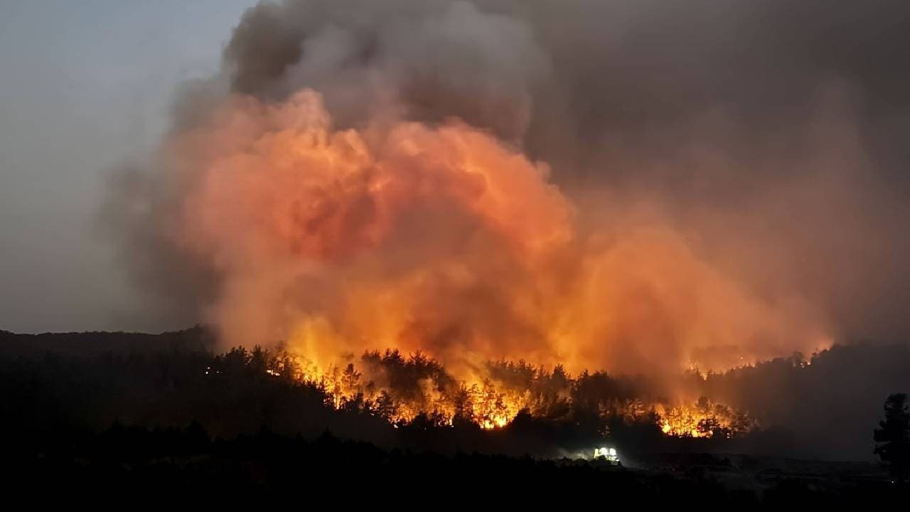 Forest Fires: 163 of 169 Fires Under Control in Turkey - Government's Response Strategy