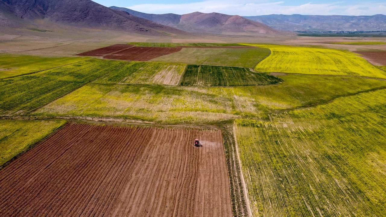 Land Sales Capture 40% of Real Estate Transactions: Investors Shift Focus