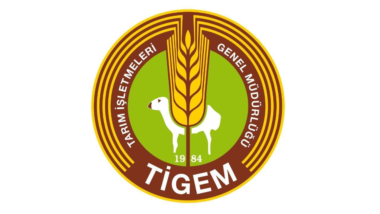 TİGEM's Auction of 7,350 Reformed Small Ruminants Brings Fresh Liquidity to Agriculture