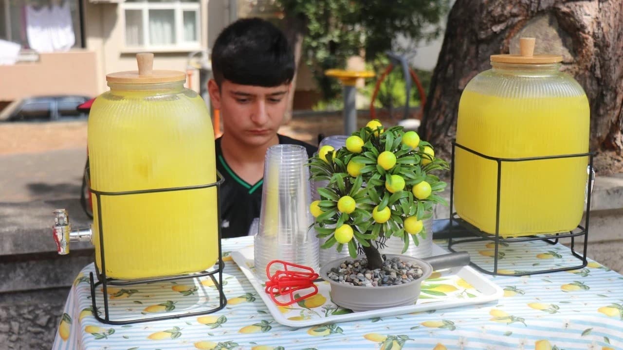 14-Year-Old Lemonade Seller Triples Minimum Wage in a Month