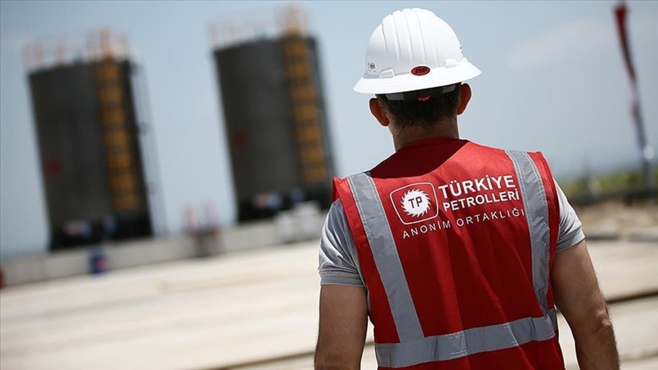 TPAO Uluslararası Marka Stratejisi: 25. Yıl Vizyonunun Ekonomik Kökleri