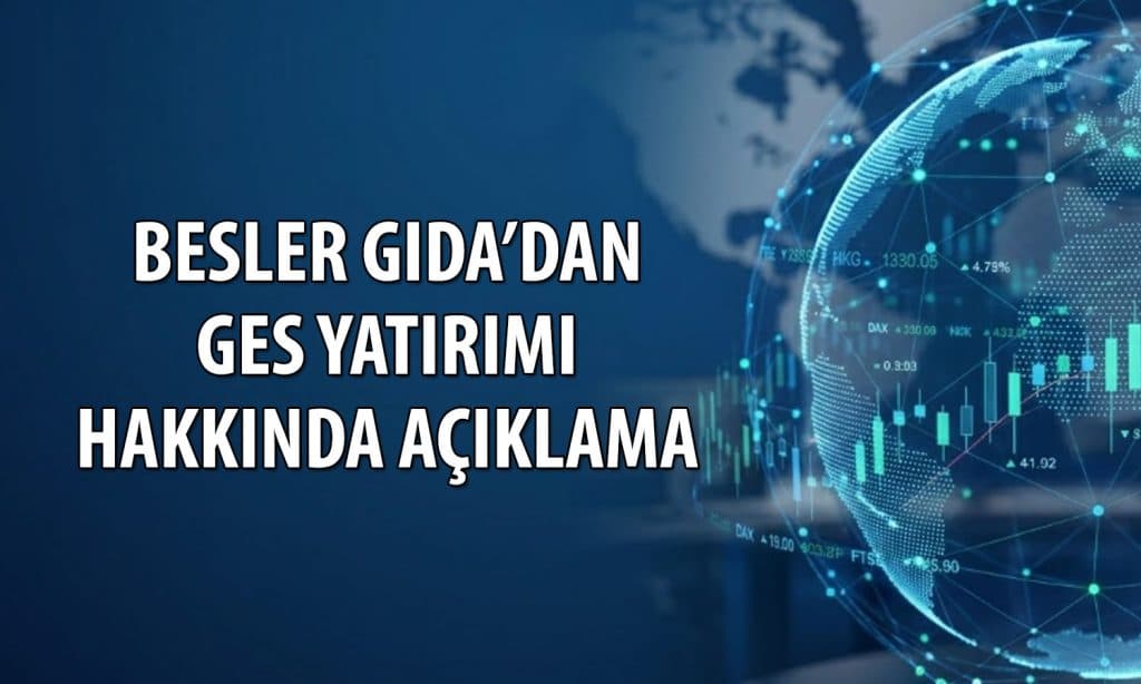 Opportunity to Reduce Energy Costs by Up to 30,000 TL: Besler Gıda's Renewable Energy Facility Has Been Commissioned