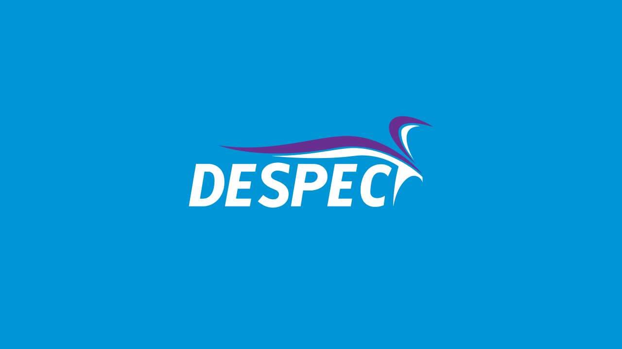 Despec Computer: First Half Loss of 0.7 Billion TL Reported