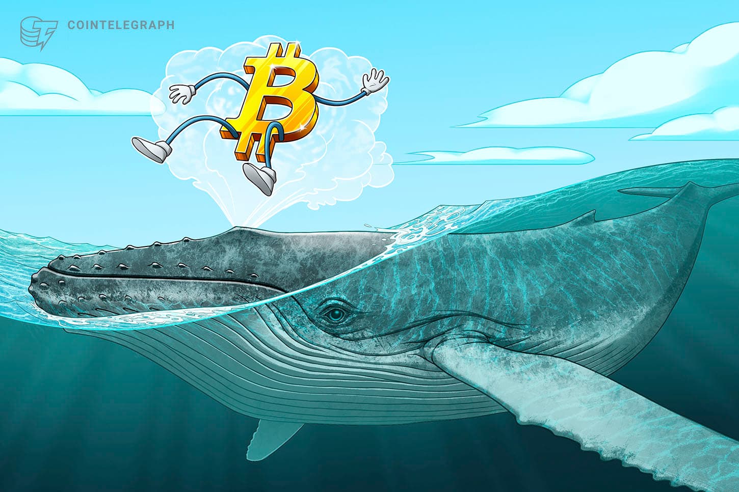 Crypto Whales Accumulate: Is a Bull Market Coming?