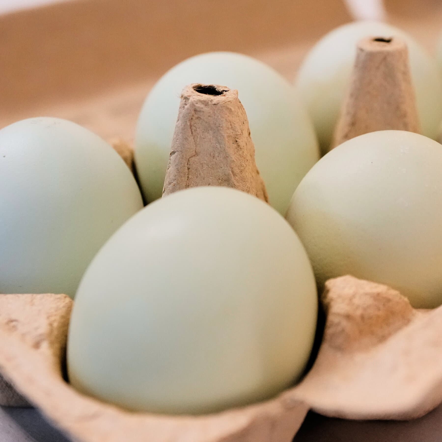 Salmonella Alert: 1.6 Million Egg Cartons Recalled, Market Repercussions Loom