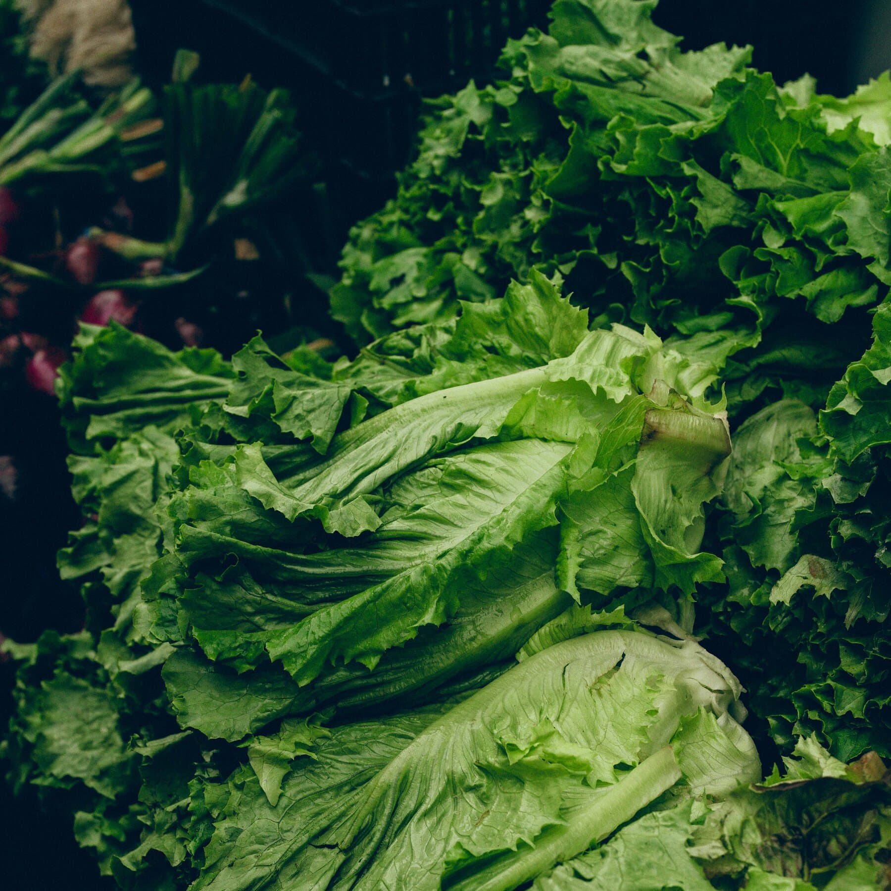 Supply Chain Trust Crisis: The Localism Shock in Fresh Produce Markets