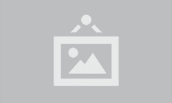 IPO News: Latest Developments and Detailed Summaries for Investors